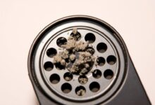 how to fix speakers on iphone