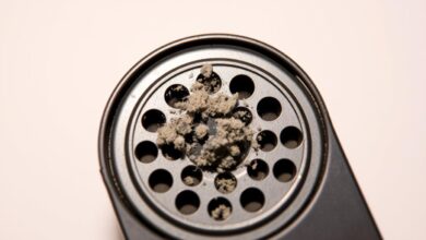 how to fix speakers on iphone