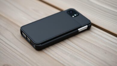 wali case
