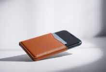 wally case